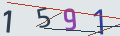 verifycode
